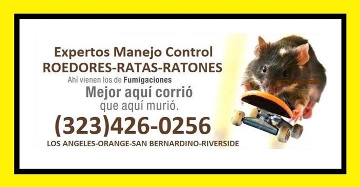👉CUCARACHAS/RATONES/CHINCHES. image 1