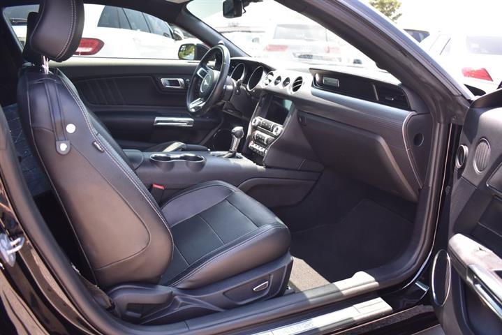 2019 Mustang GT Premium image 6