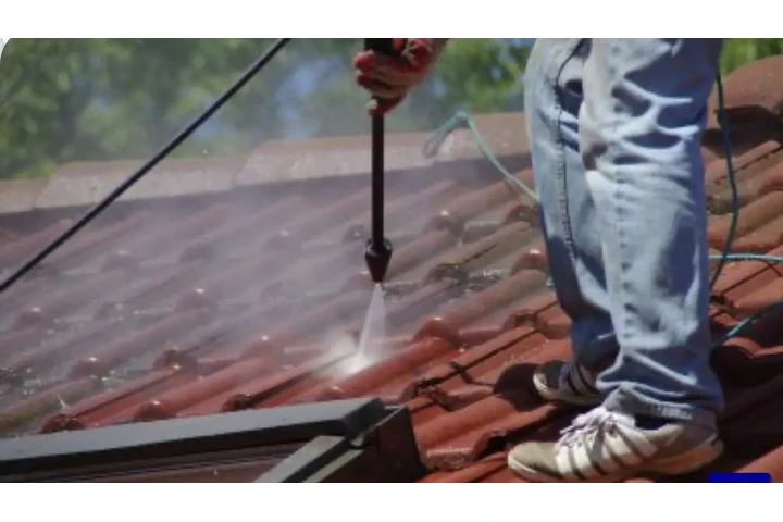 Gutter and roof cleaning,Windo image 4