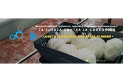 LOSETAS INDUSTRIALES PLANTAS en Tuxtla Gutierrez