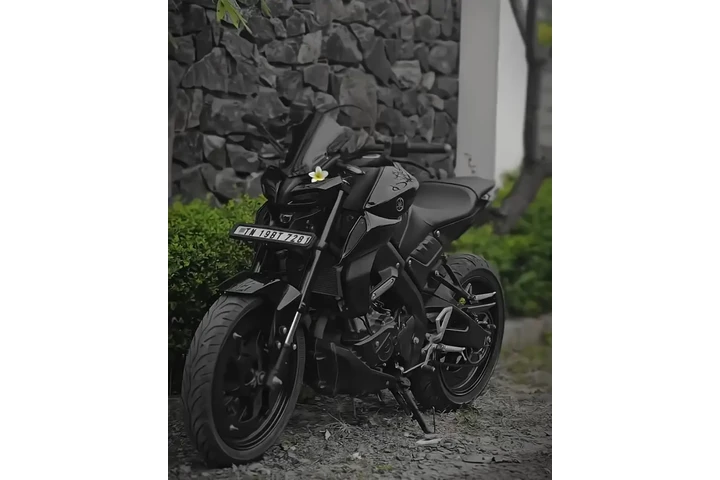 $1200 : Yamaha MT-15 image 2