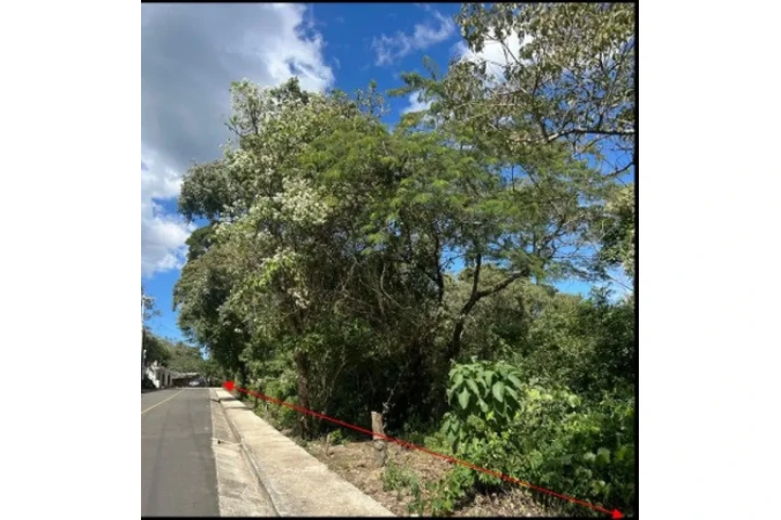 $1 : Terreno en Venta image 2