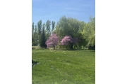 Land manager thumbnail