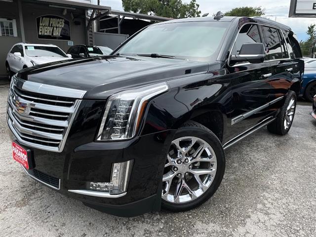 2018 Escalade Platinum image 1