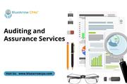 Auditing and Assurance Service