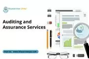 Auditing and Assurance Service en San Diego