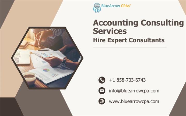 Accounting consulting services image 1