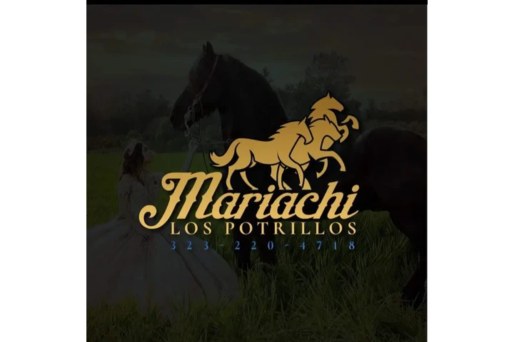 MARIACHI LOS POTRILLOS image 1