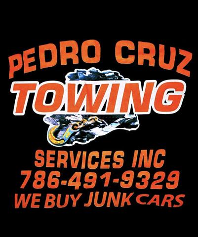 Pedro Cruz Towing image 10