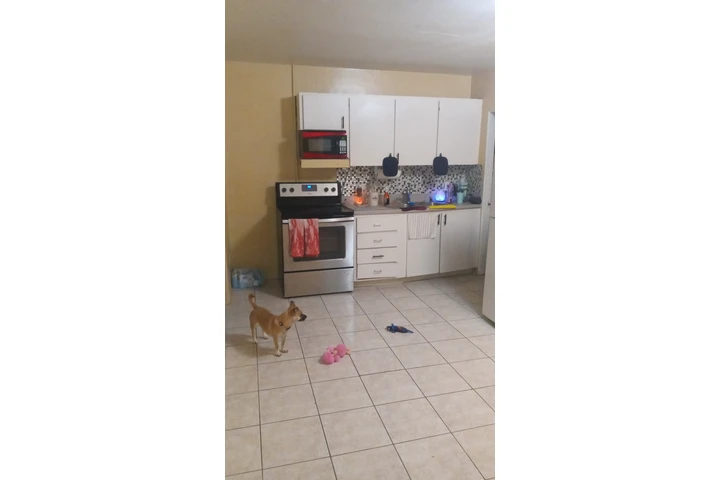 House cleaning image 4