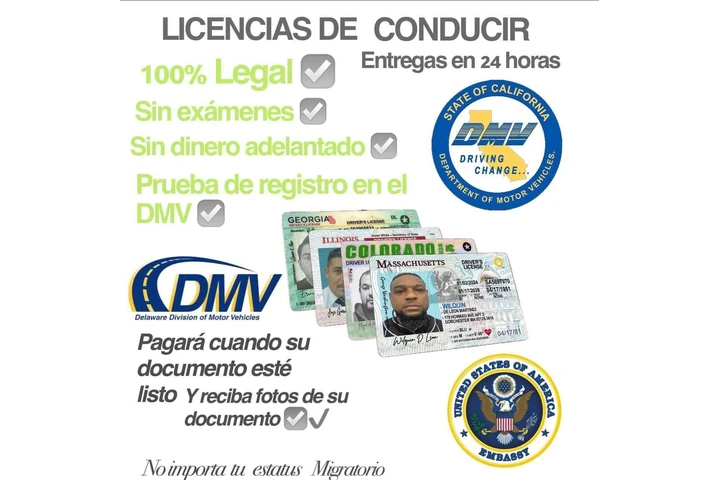 Trámites de Licencia image 6