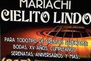 Mariachi Cielito Lindo de Tamp thumbnail 3