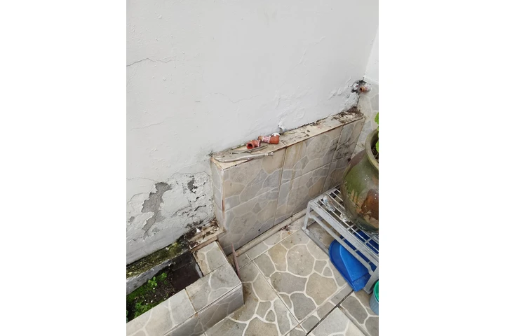 Detección de fugas 0987120821. image 1