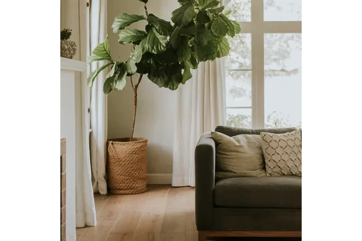 Rosie’s Cleaning Services image 1