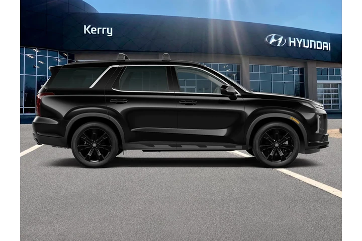 $33675 : Hyundai PALISADE 2023 AWD XR image 9