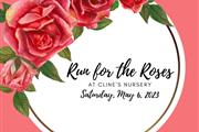 Run for the Roses en Charlotte