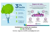 Seguros de Vida y Auto en Tuxtla Gutierrez