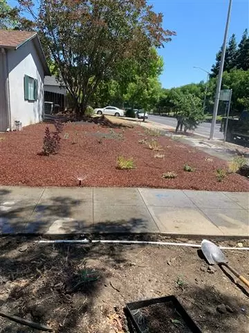 Leon Gardening Services image 4