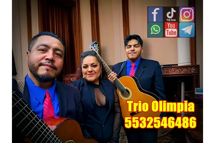 contratar trio cdmx y edomex image 1