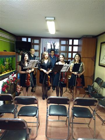 Violín clases particulares image 1