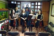 Violín clases particulares en Puerto Vallarta