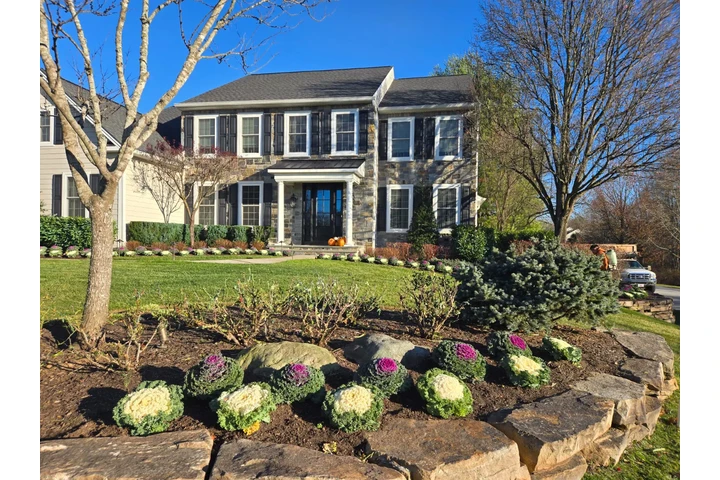 Professional Maintenance image 4