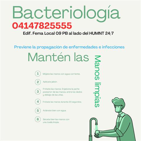 Bacteriología image 3