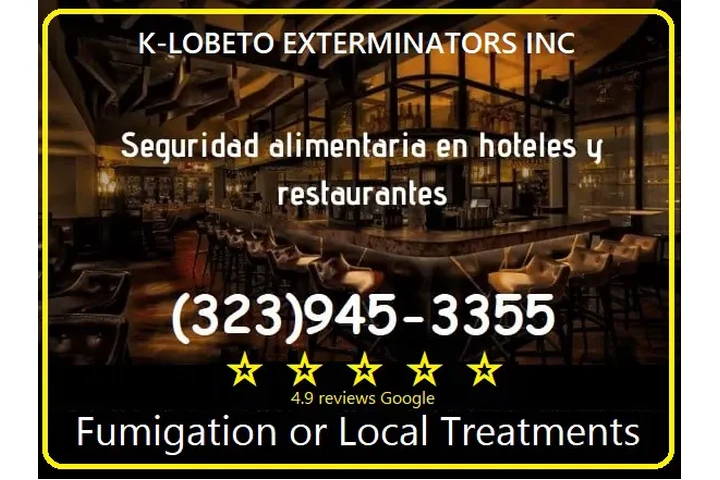 FUMIGACIONES LONCHERAS🌮TACOS. image 8