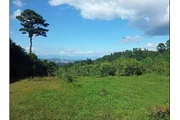 $822206 : TERRENO EN VENTA EN VISTA HERM thumbnail