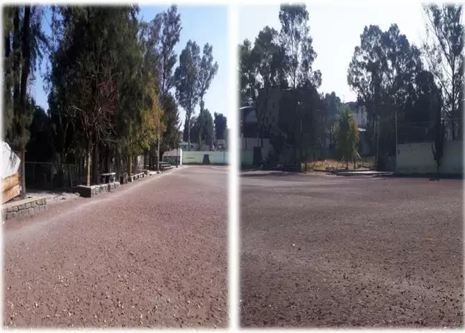 TERRENO VENTA PARA DESARROLLO image 2