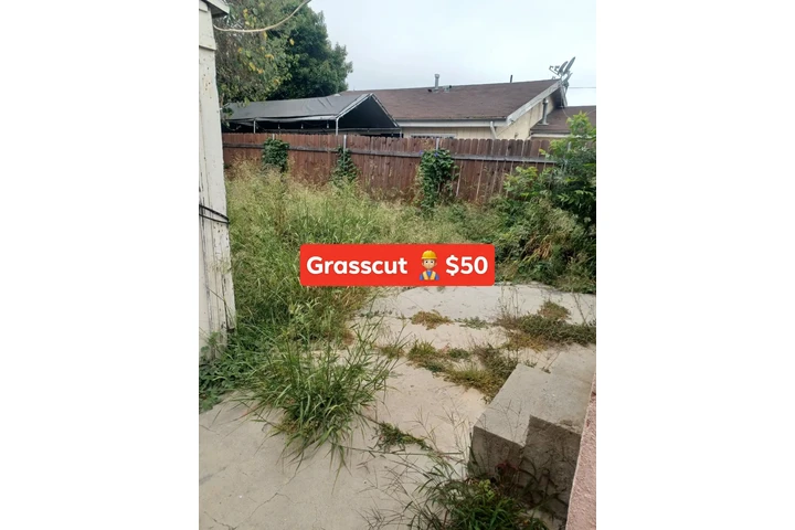 Corte de pasto 🌿👷🏼 image 5
