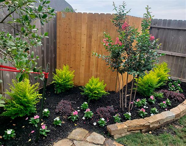 Lopez landscaping & Cleaning image 1