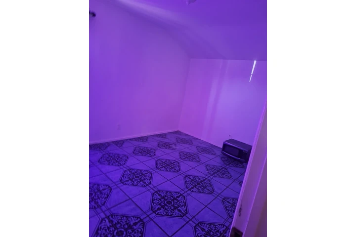 $900 : A Room for Rent in a House! image 1