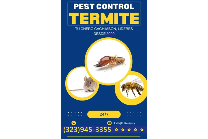 PEST CONTROL SERVICES 24/7.- image 5