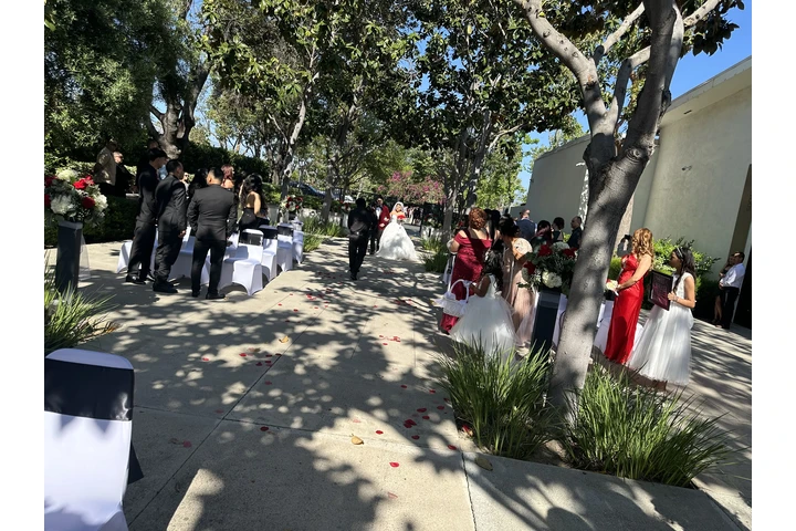 Bodas civiles image 4