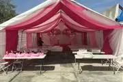 Carpas serradas con su luz thumbnail
