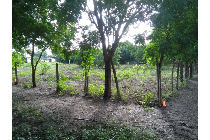 $111111111 : VENDO LOTE PLANO 1250 MT image 2