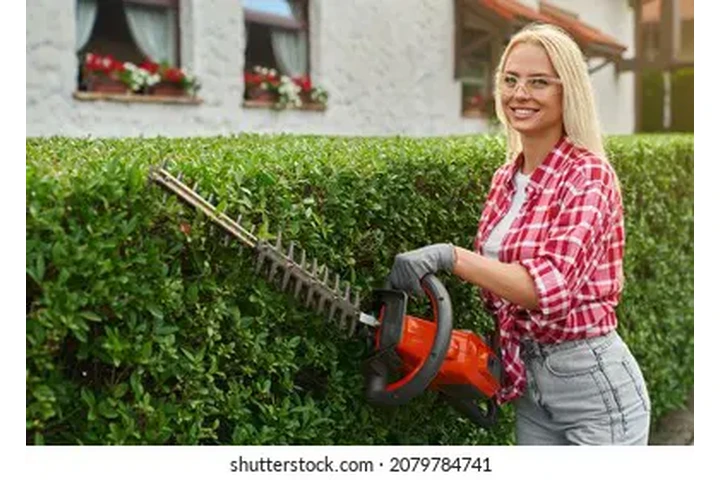 Llamanos y aplica. image 3