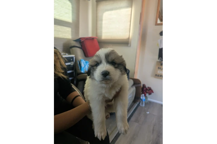 $250 : Listos para nuevo hogar image 5