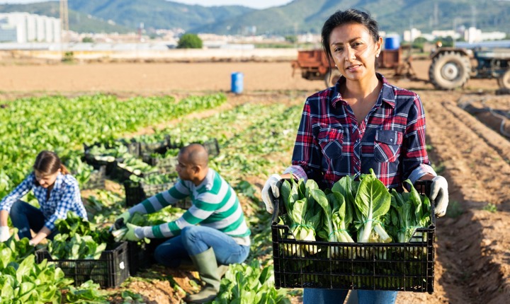 Oportunidades de legalizarse para los inmigrantes