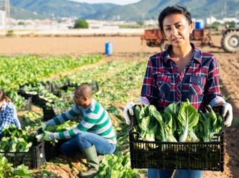 Oportunidades de legalizarse para los inmigrantes