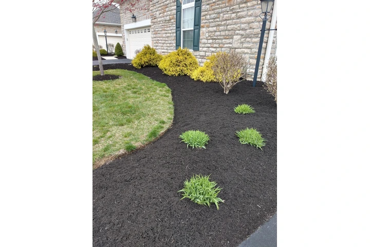 SERVICIO DE JARDINERÍA EN LA image 2