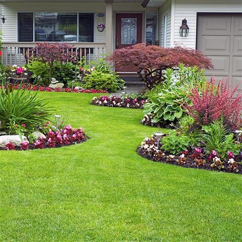 Two Brothers Landscaping image 3