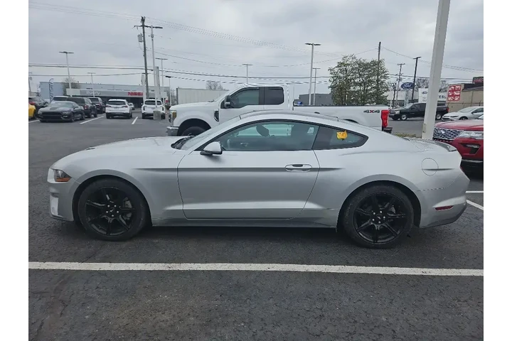 $19557 : Ford Mustang 2019 EcoBoost 2 image 5