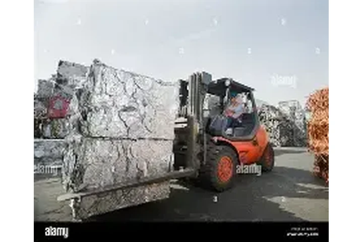 Sorter/ Sitdown Forklift image 1