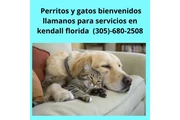 Cuidado de Mascotas kendall fl thumbnail