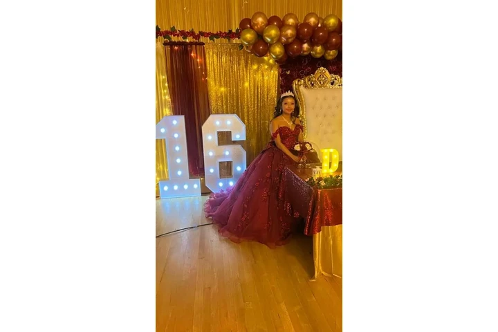 Fotografias y video profesiona image 8