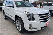 2018 Escalade 2WD 4dr Luxury thumbnail