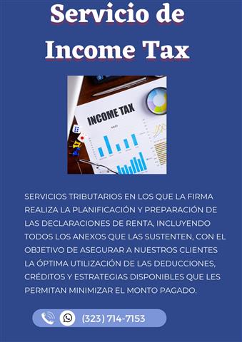 Income Tax image 1
