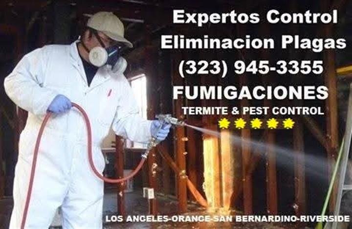 FUMIGADOR ORANGE COUNTY 24/7. image 8